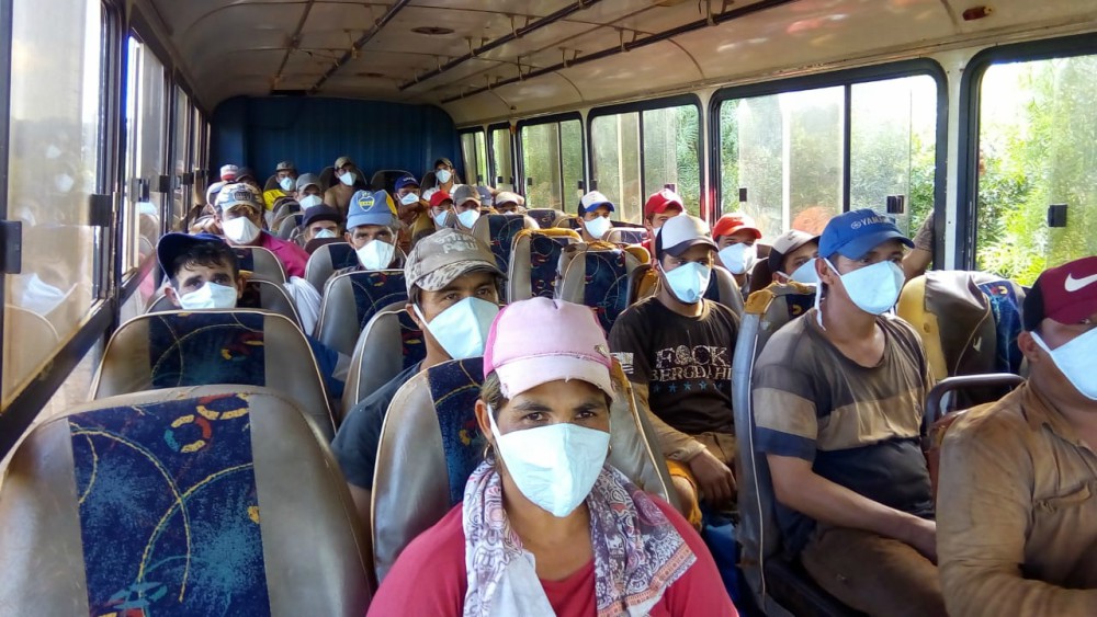 Arrancó la zafra yerbatera en Misiones durante la cuarentena