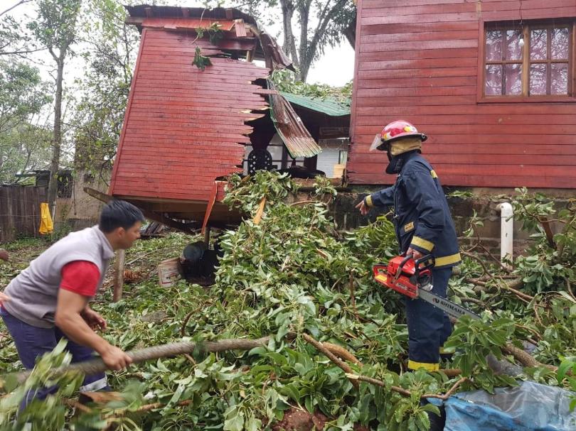 En Oberá se desplomó un árbol y partió una casa en dos