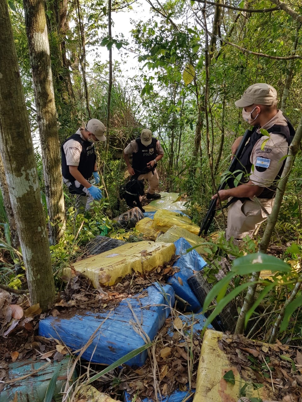 Megaoperativo en Misiones: Prefectura incautó casi una tonelada de marihuana