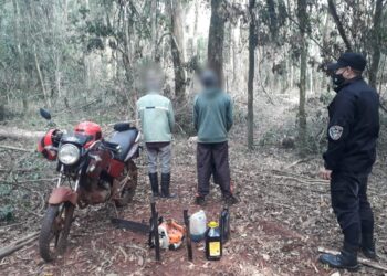 Apeo ilegal: atraparon a tres hombres cuando robaban madera de una empresa