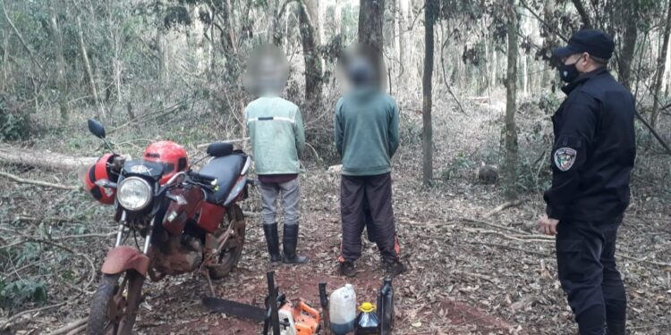 Apeo ilegal: atraparon a tres hombres cuando robaban madera de una empresa