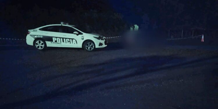 Un hombre perdió la vida tras un choque en la Ruta Nacional Nº12