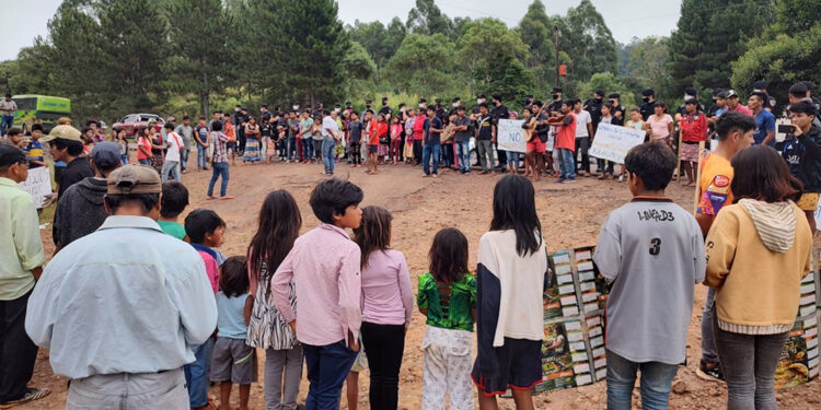 Tras protestas de los mbya, pausaron la extracción de árboles en San Pedro