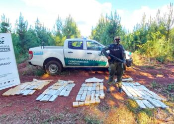 Cien kilos de marihuana fueron hallados en el municipio de Colonia Delicia