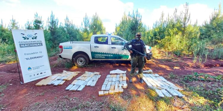 Cien kilos de marihuana fueron hallados en el municipio de Colonia Delicia