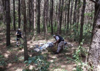 Prefectura secuestró casi 2.300 kilos de marihuana