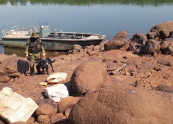 Prefectura incautó más de 90 kilos de marihuana en Eldorado y Pto. Iguazú