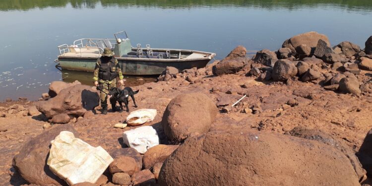 Prefectura incautó más de 90 kilos de marihuana en Eldorado y Pto. Iguazú