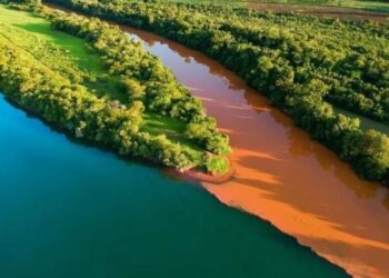 Fotos publicadas por Ecología retratan el desmonte y la erosión de la tierra