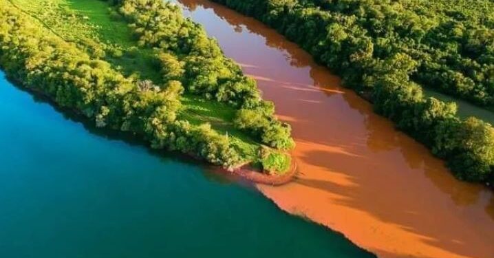 Fotos publicadas por Ecología retratan el desmonte y la erosión de la tierra
