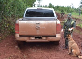 Escuadrón 10 Eldorado: Abandonaron camioneta con más de 100 kilos de droga