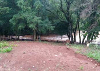 Niño de 6 años se ahogó al intentar salvar a su hermana de 2