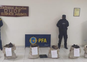 Eldorado: secuestran más de 140 kilos de marihuana en el pleno monte
