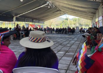 La mitad de los pueblos indígenas de Bolivia pueden desaparecer