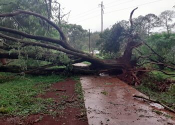Tormenta causó daños graves en las lineas de Colonia Victoria