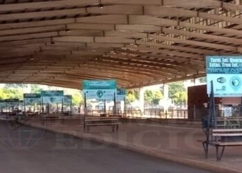 Se viene el paro de colectivos