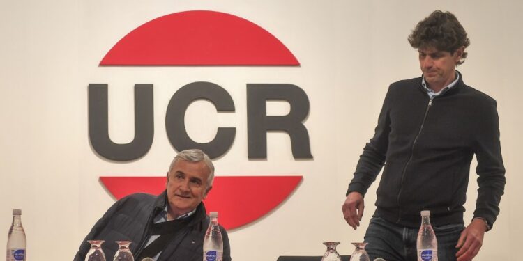 La estrategia del voto en blanco fracasó y dejó expuesta la baja representación de la UCR