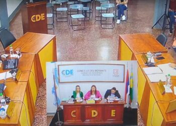 Pedido de informes sobre el viaje del intendente