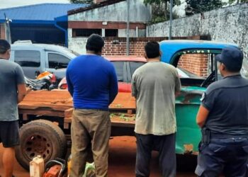 Tres hombres detenidos cuando talaban un árbol para sustraerlo de un monte