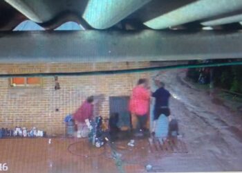 Delincuente «sin código» ingreso a robar en su propio lugar de trabajo