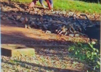 Obras Públicas: Vecinos solucionan el mal estado de sus calles