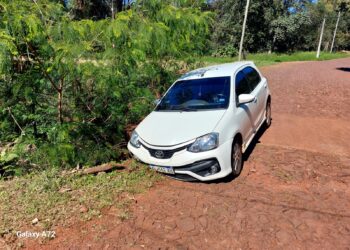 Mal estado de la calle: Un automóvil cayo en un pozo