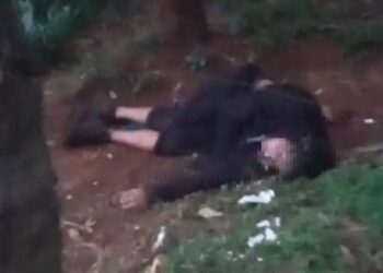 La Policía investiga el hallazgo de una persona sin signos vitales en un campo de Eldorado