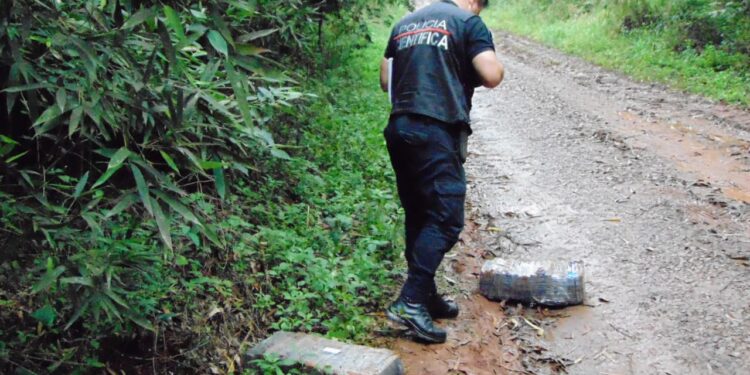 B° Elena: hallaron 32 kilos de marihuana