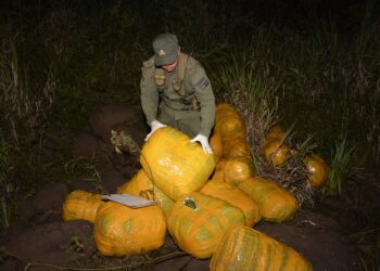 Patrulla de Gendarmería secuestró más de 280 kilos de marihuana