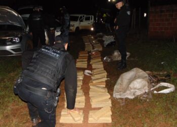 B° Elena: Incautan más de 375 kilos de marihuana en operativo nocturno