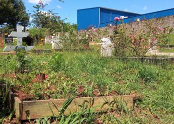 Falta de acondicionamiento en el cementerio del kilómetro 3 en el Día de las Madres