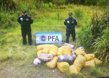 La Policía Federal secuestró más de 500 kg de marihuana en Eldorado