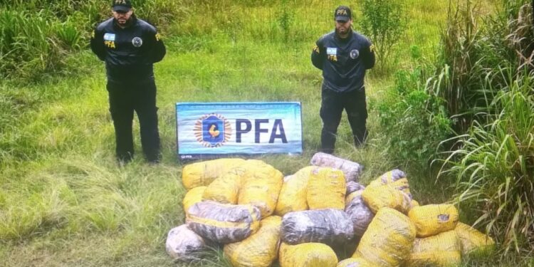 La Policía Federal secuestró más de 500 kg de marihuana en Eldorado