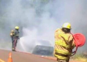 Bomberos de 9 de Julio controlan incendio vehicular en Ruta 17 sin heridos
