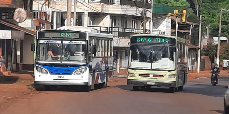 La Pendiente Incierta del Transporte Urbano en Eldorado