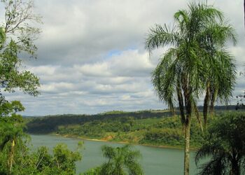 Alerta en Eldorado: Grupo armado de nacionalidad paraguaya ingresó ilegalmente por el pique «Gamarra»