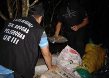 Secuestraron más de 8 mil millones en droga acopiada en un paraje rural de 9 de Julio