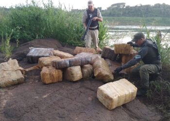 Gendarmería Nacional: Decomisan Casi una tonelada de marihuana en la frontera Argentina-Paraguay