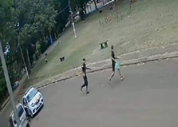 Veloz persecusión, el ladrón escapo