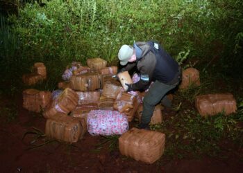 Colonia Mado: Decomisaron más de una tonelada de drogas en la zona denominada «El Francés»