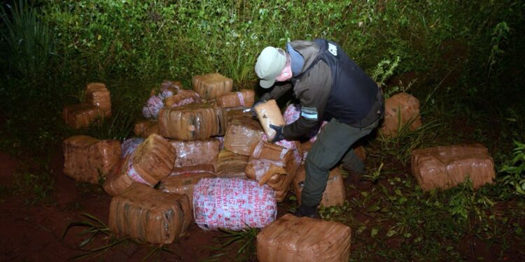 Colonia Mado: Decomisaron más de una tonelada de drogas en la zona denominada «El Francés»