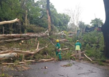 Posadas: violento temporal causó destrozos en pocos minutos