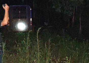 Eldorado: Violento asalto a mano armada: roban una Toyota Hilux y abandonan el vehículo en una chacra