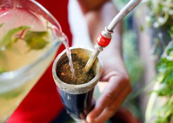 Paraguay celebra el Día Nacional del Tereré