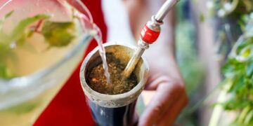 Paraguay celebra el Día Nacional del Tereré