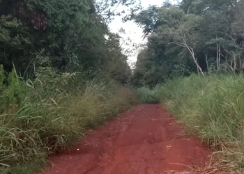 Abandono total en el km 11: vecinos denuncian el deterioro y la falta de mantenimiento de calles clave