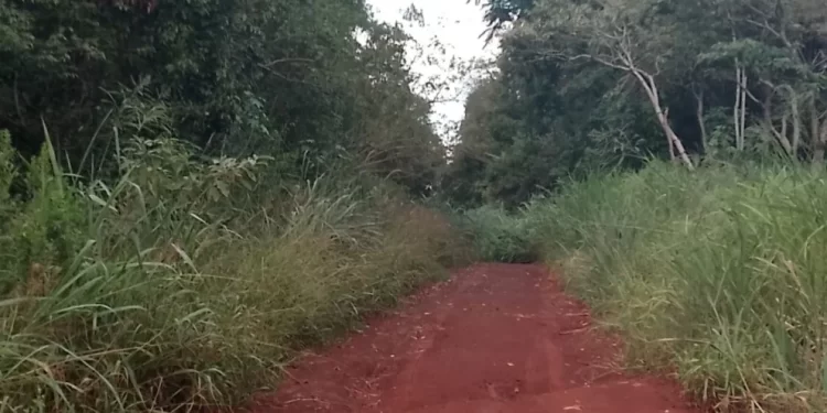 Abandono total en el km 11: vecinos denuncian el deterioro y la falta de mantenimiento de calles clave