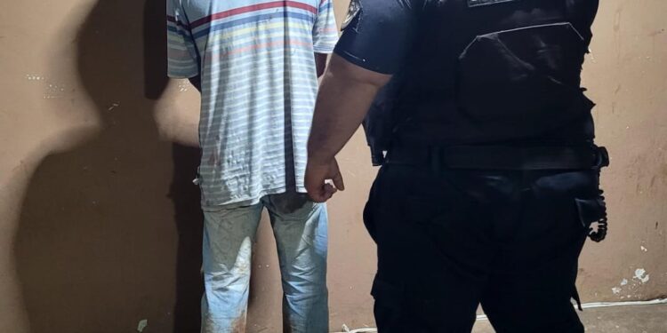 Rápido operativo en barrio Roulet: detuvieron al hombre que atacó a la nueva pareja de su ex y secuestraron el arma utilizada