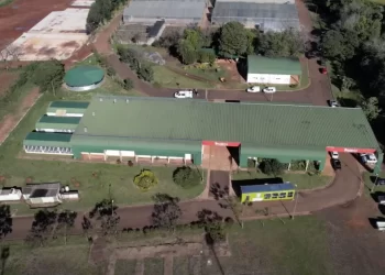 Misiones disuelve la empresa de cannabis Misio-Pharma por la crisis económica
